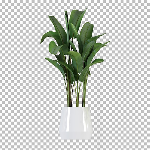 Plant in pot in 3d rendering isolated