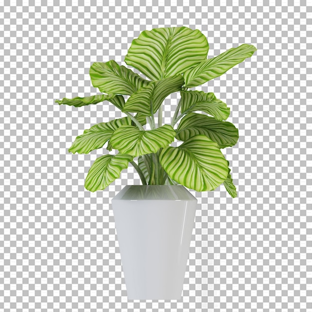 Plant in pot in 3d rendering isolated