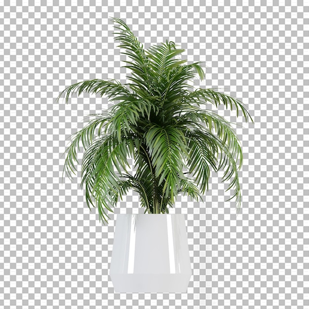 Plant in pot in 3d rendering isolated