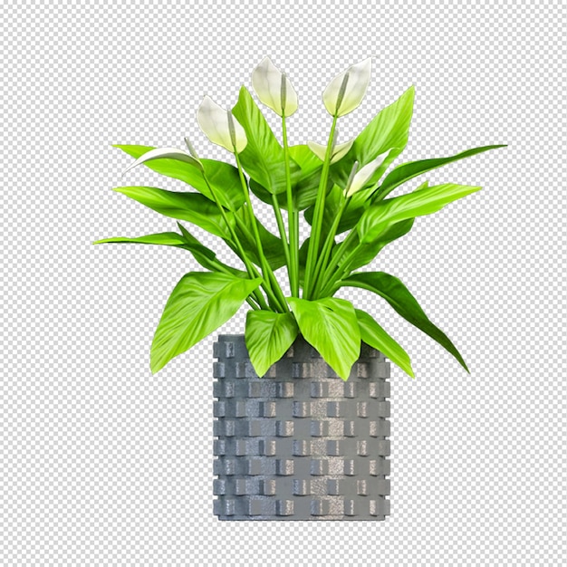 Plant in pot in 3d rendering Isometric