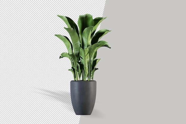 Plant in pot in 3d rendering