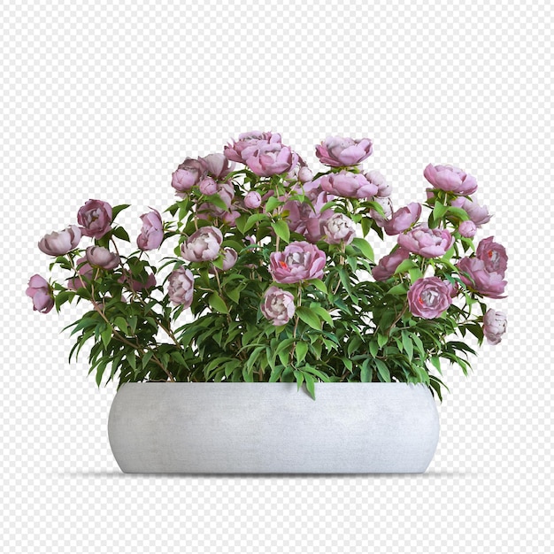 Plant in pot in 3d rendering