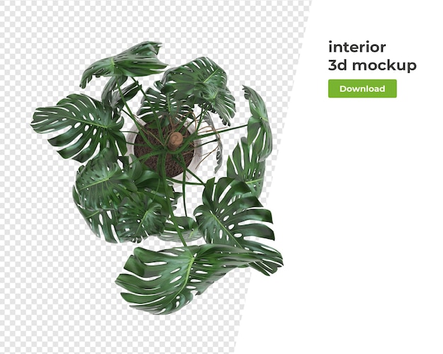 Plant in pot decoration mockup design