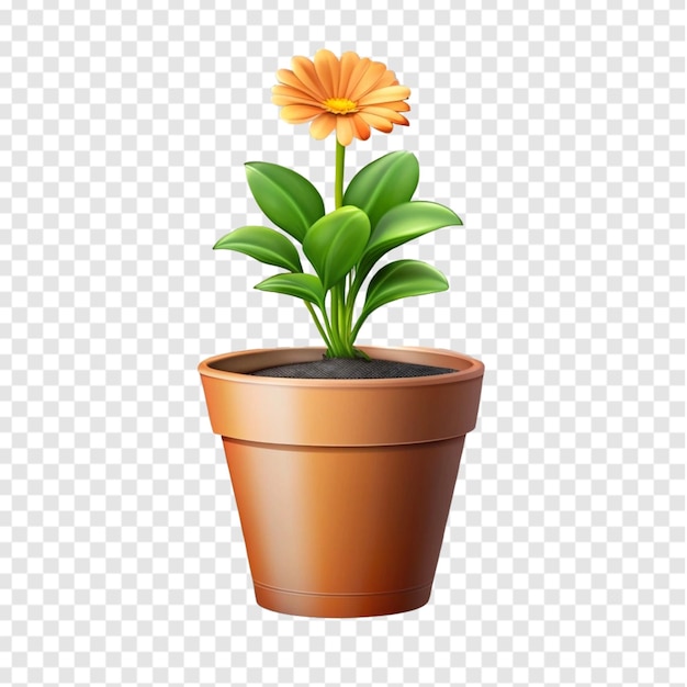 Plant pot flower isolated on transparent background