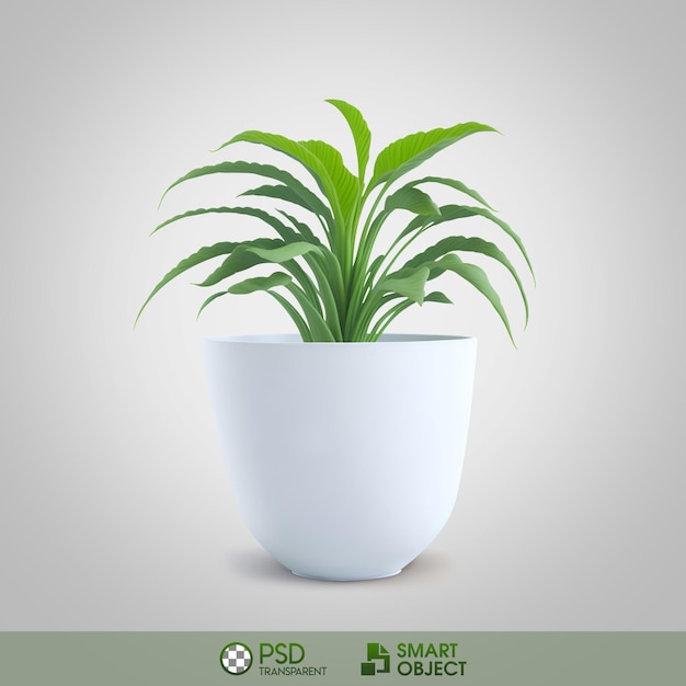 A plant in a pot that says psd.