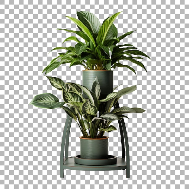 Plant stand on transparent background