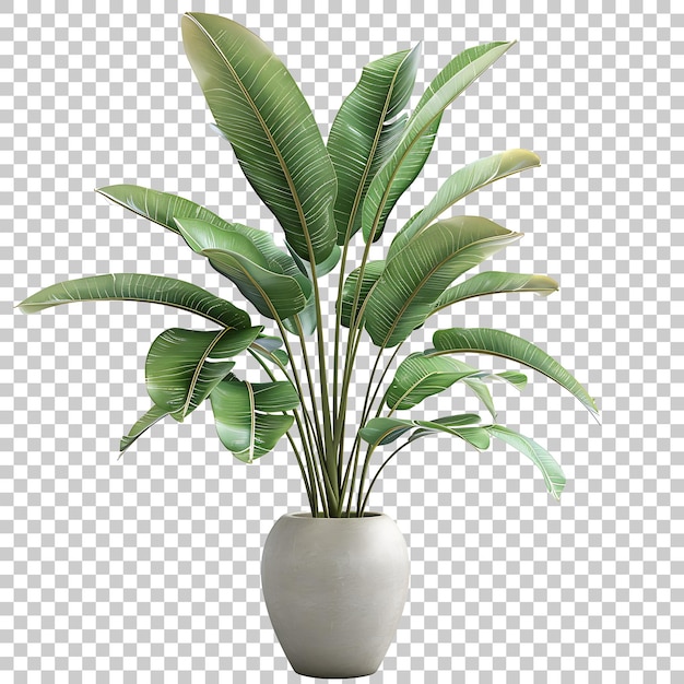 Plant in vase home interior PNG with Transparent Background