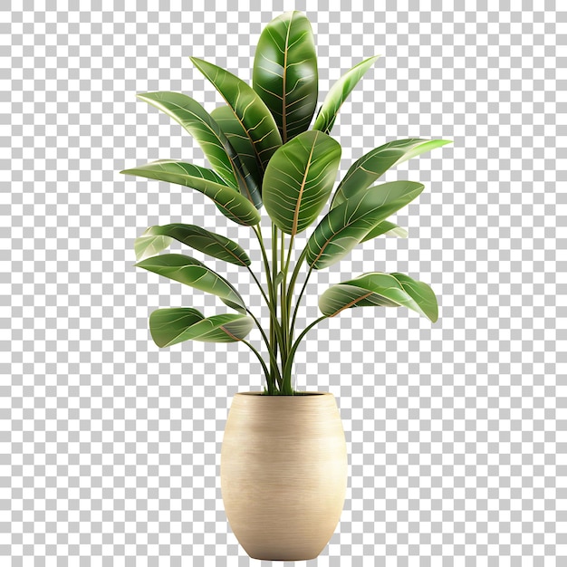 Plant in vase home interior PNG with Transparent Background