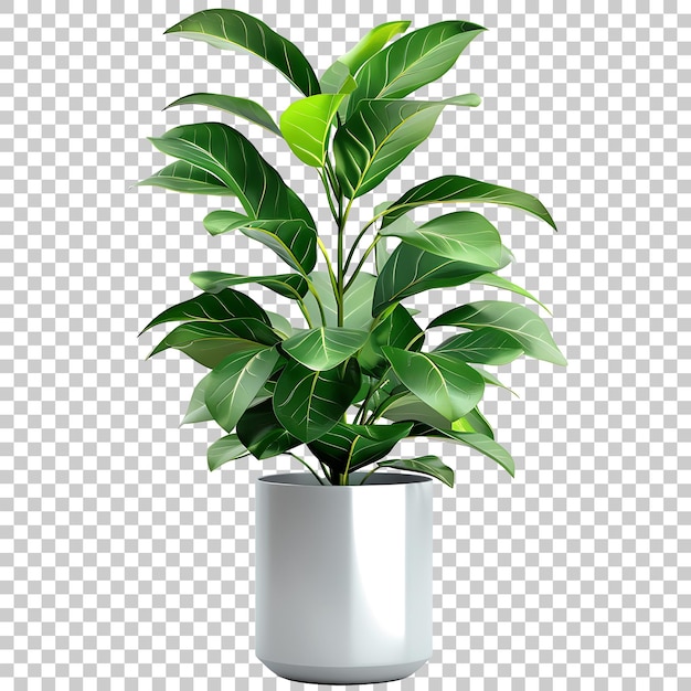 Plant in vase home interior PNG with Transparent Background