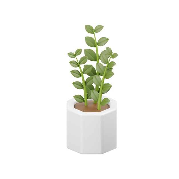 PSD a plant in a white pot with a green plant in it.