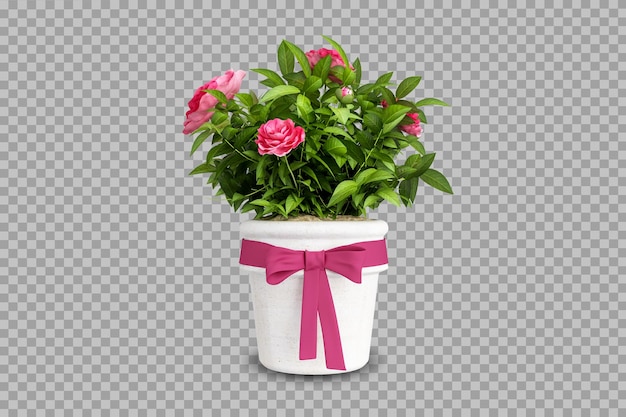 Plant with flower in 3d rendering isolated