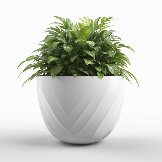 a planter with a white plant in it and a white background