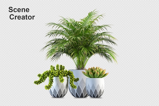 Plants design in 3d rendering isolated