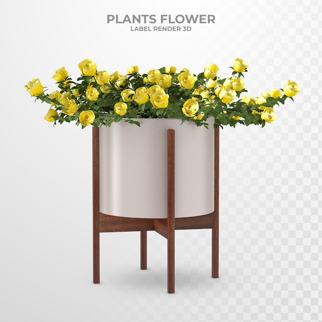 Plants indoor flower 3d rendering