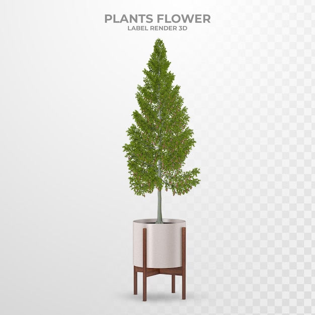 Plants indoor flower 3d rendering