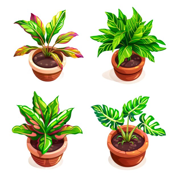 PSD plants isolated on transparent background