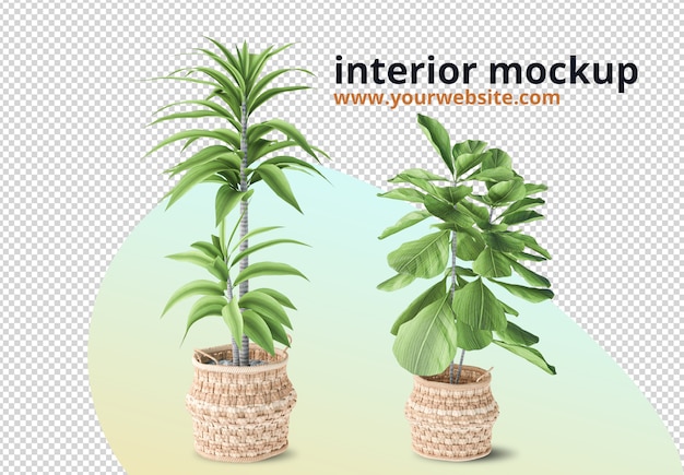 Plants in pot in 3d rendering mockup