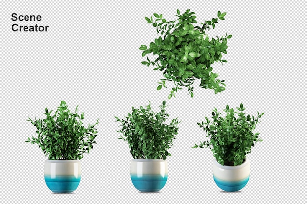 Plants in pots in 3d rendered