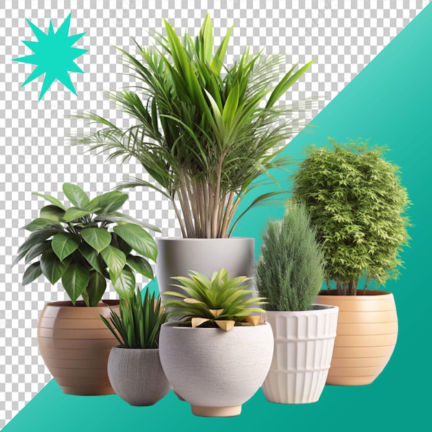 plants in pots in 3d rendering on transparent background