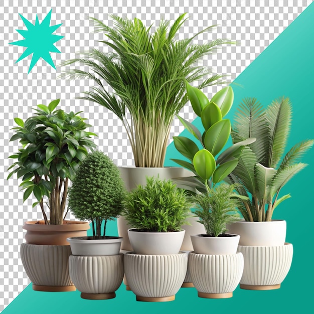 plants in pots in 3d rendering on transparent background