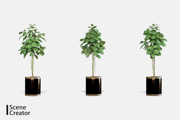 Plants in various angles scene creator