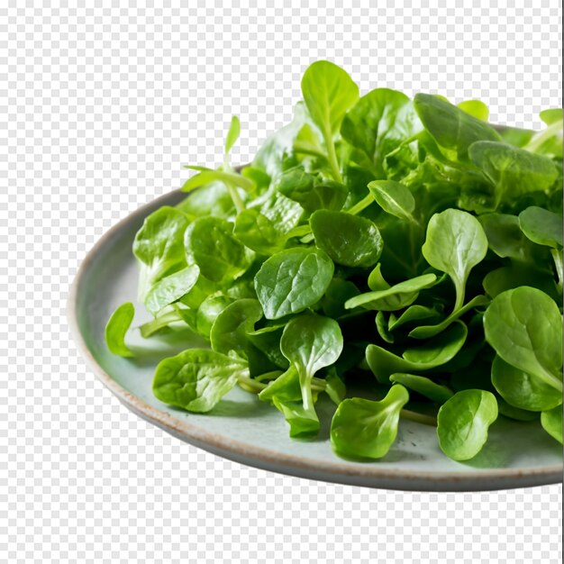 PSD a plate of green leafy vegetables with a white background