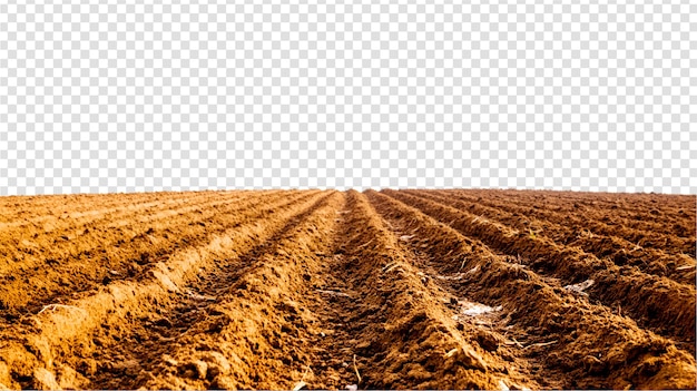 PSD a plowed agricultural field with white a background