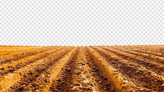 PSD a plowed agricultural field with white a background