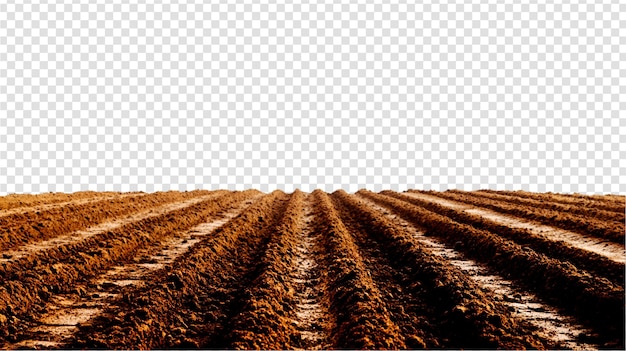 PSD a plowed agricultural field with white a background