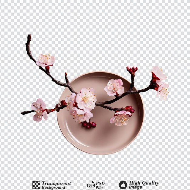 PSD plum blossom in ceramic plate isolated on transparent background