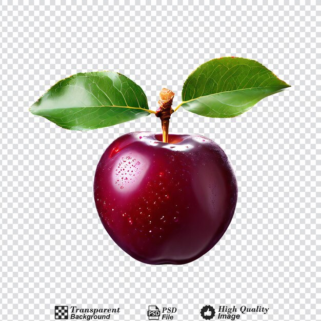 plum fruit isolated on transparent background