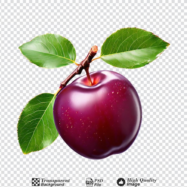 plum with leaf isolated on transparent background