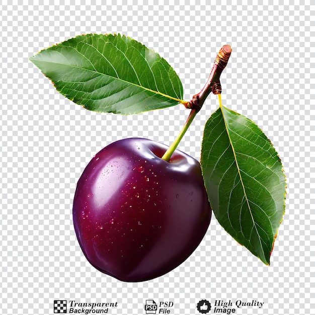 plum with leaf isolated on transparent background