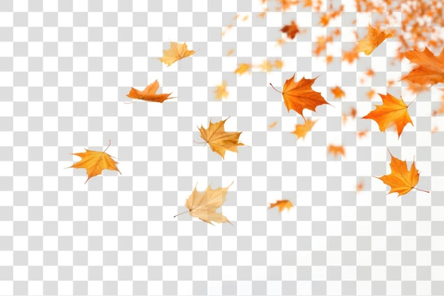 PNG Autumn leaves falling gracefully