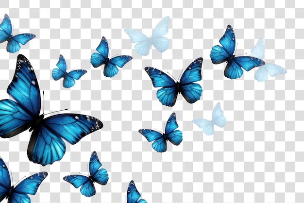 PNG Blue butterflies in flight illustration