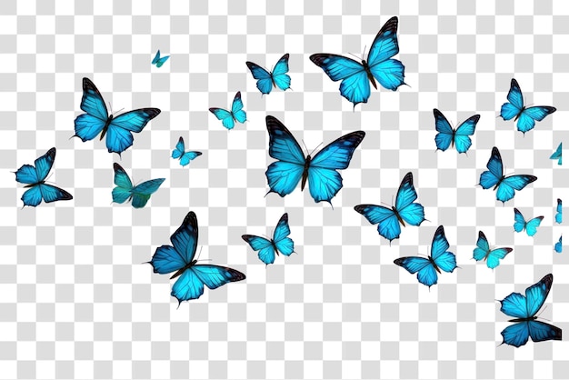 PSD png butterflies butterfly animal insect