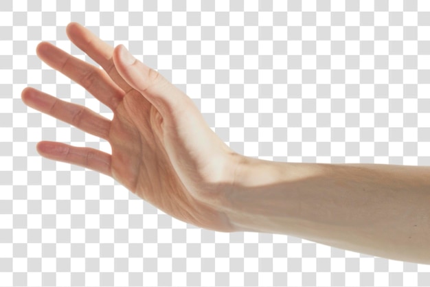 PNG Creative people team high five finger adult hand