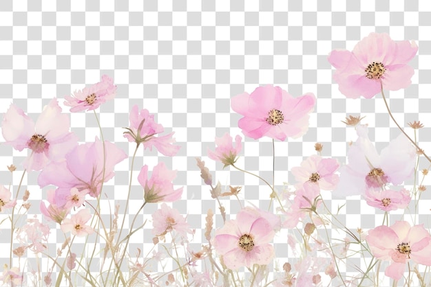 PSD png delicate pink watercolor floral illustration