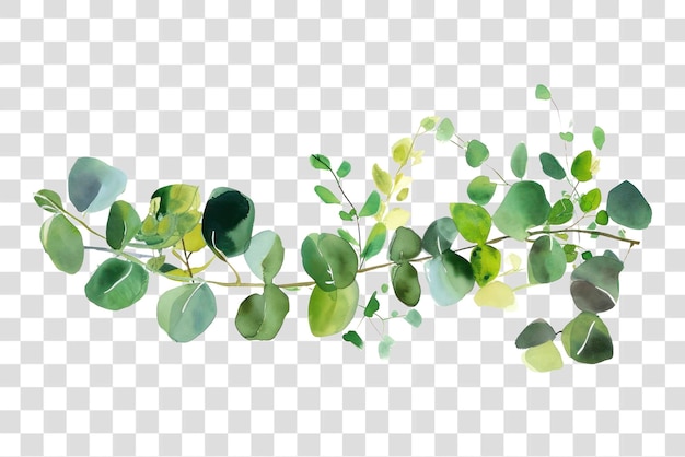 PNG Eucalyptus watercolor border backgrounds plant leaf