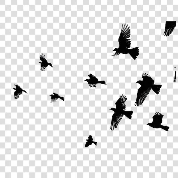 PSD png few birds silhouette flying on the clear white sky blackbird agelaius animal