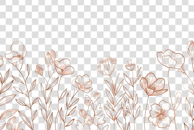 PSD png florals border drawing illustrated graphics