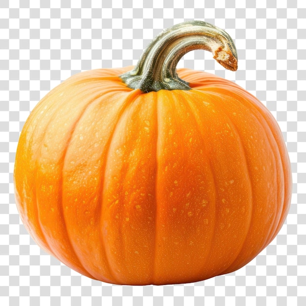 PNG Fresh orange pumpkin isolated white