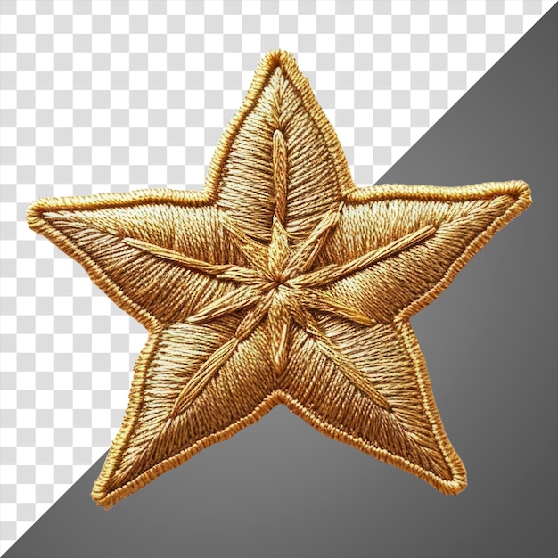 PNG Golden embroidered star patch