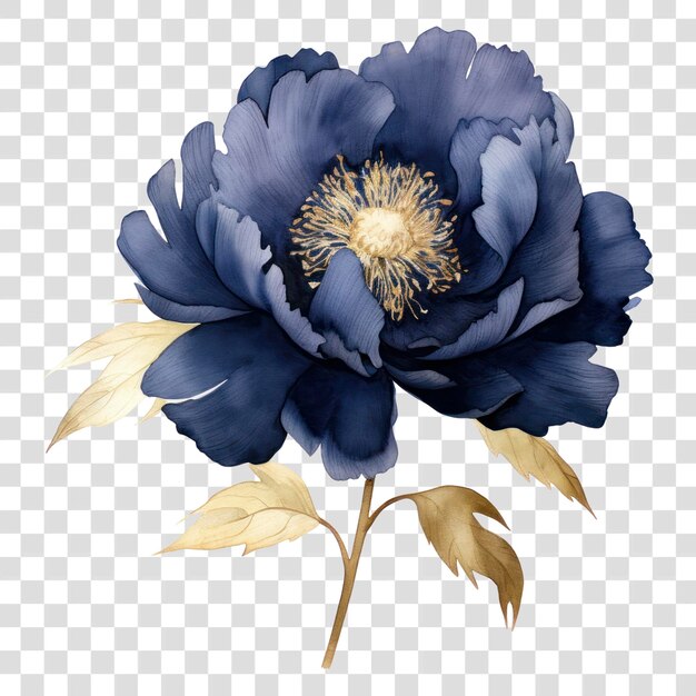 PSD png indigo peony flower plant rose