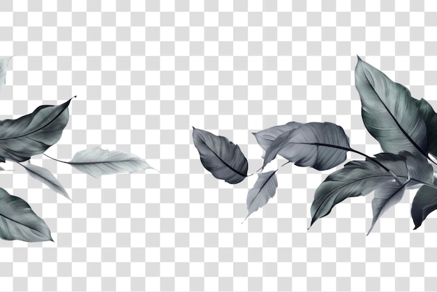 PSD png ink tropical leaves backgrounds sketch plant