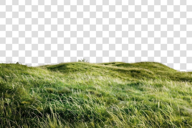 PSD png lush green rolling grassy hills