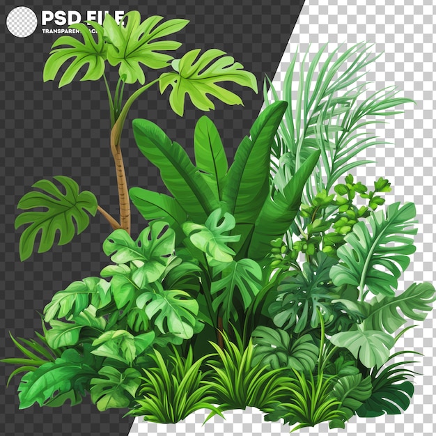 PSD png lush tropical foliage with diverse green plants