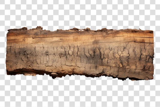 PNG Many logs burnt backgrounds wood tree