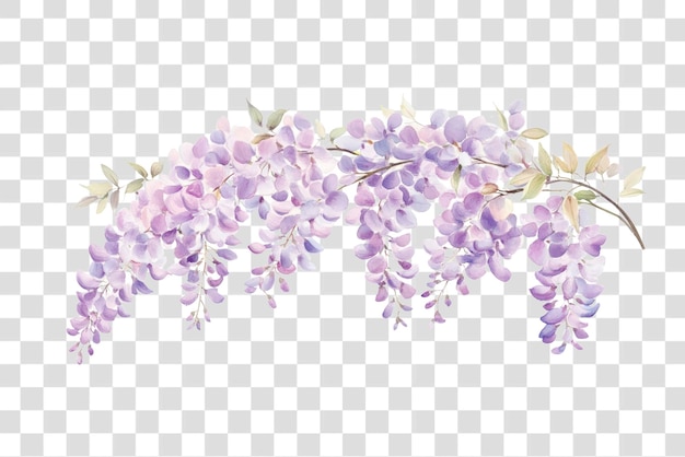 PSD png soft color asmall bush wisterias illustration watercolor blossoms