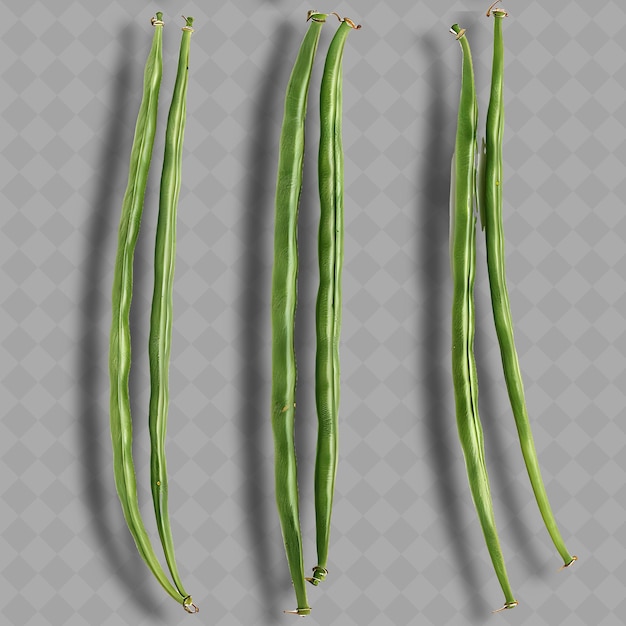 Png Yard Long Beans Legume Very Long Green Pencil Shaped Pods Ob Isolated Clean and Fresh Vegetable